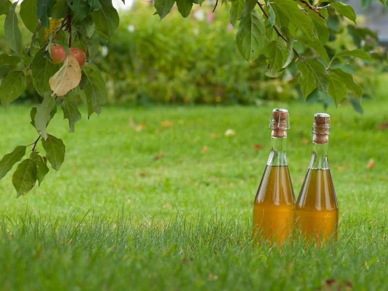 Botellas de sidra achampanada